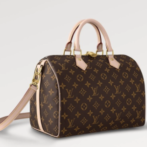 LV Inspired #30